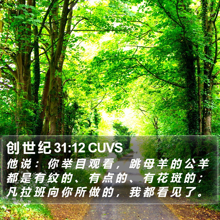 创 世 纪 31:12 CUVS Bible Study