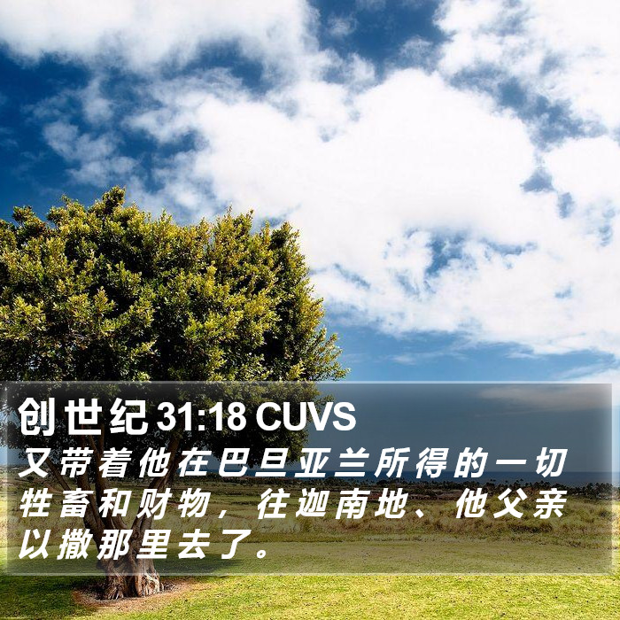 创 世 纪 31:18 CUVS Bible Study