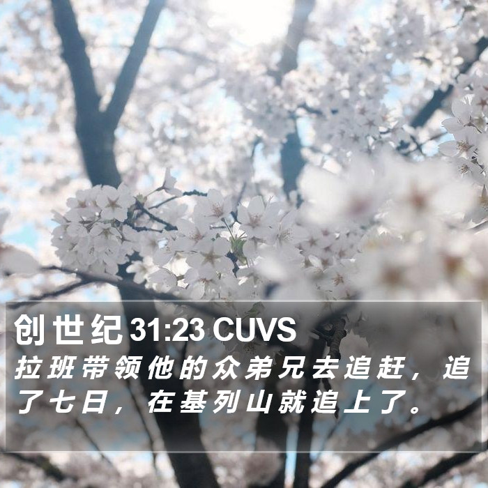 创 世 纪 31:23 CUVS Bible Study