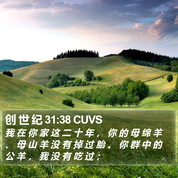 创 世 纪 31:38 CUVS Bible Study