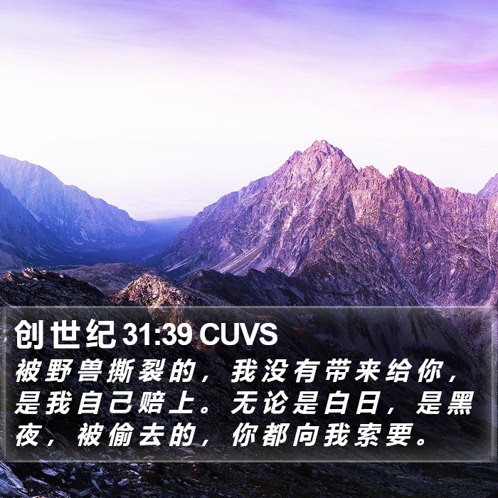 创 世 纪 31:39 CUVS Bible Study