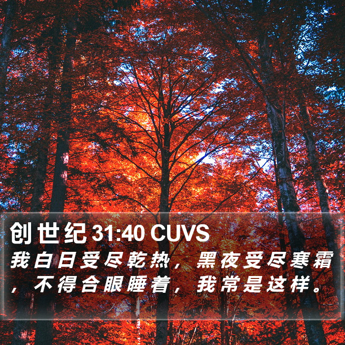 创 世 纪 31:40 CUVS Bible Study