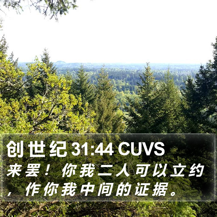 创 世 纪 31:44 CUVS Bible Study