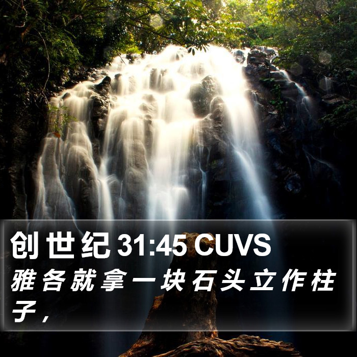 创 世 纪 31:45 CUVS Bible Study