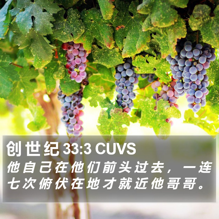 创 世 纪 33:3 CUVS Bible Study