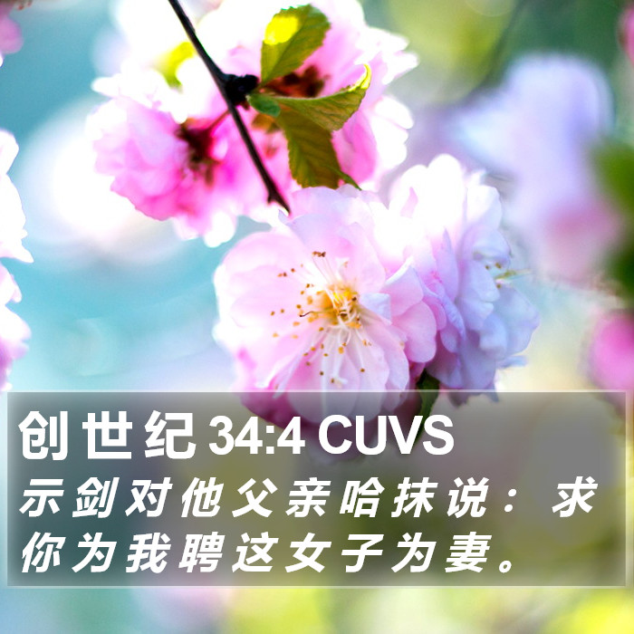 创 世 纪 34:4 CUVS Bible Study