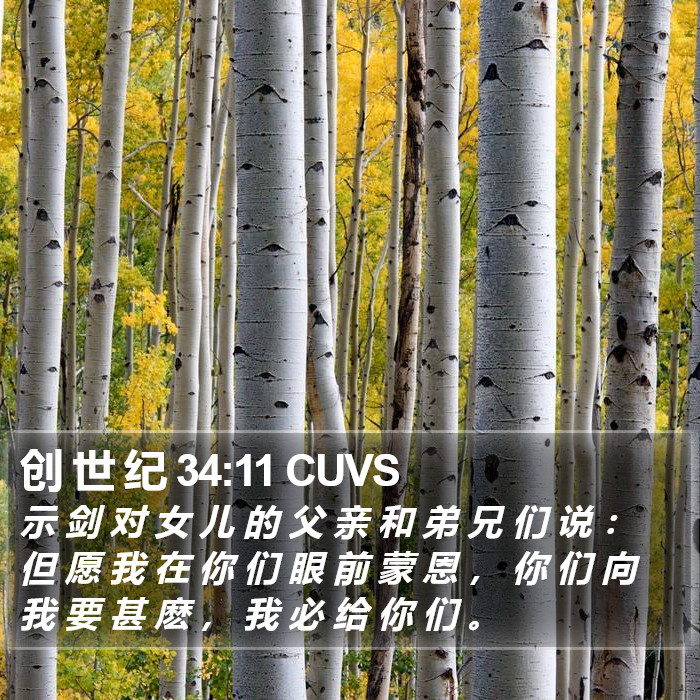 创 世 纪 34:11 CUVS Bible Study