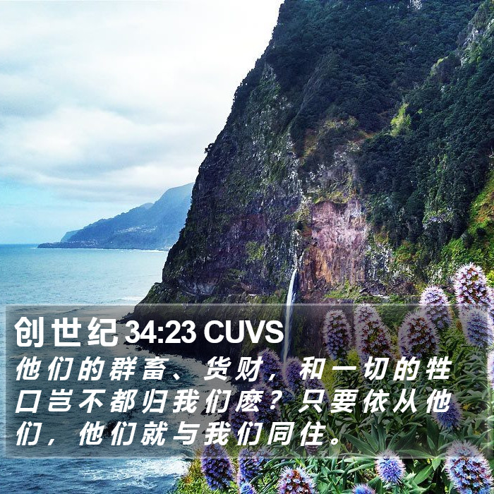 创 世 纪 34:23 CUVS Bible Study