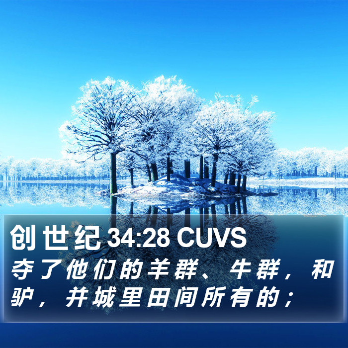 创 世 纪 34:28 CUVS Bible Study