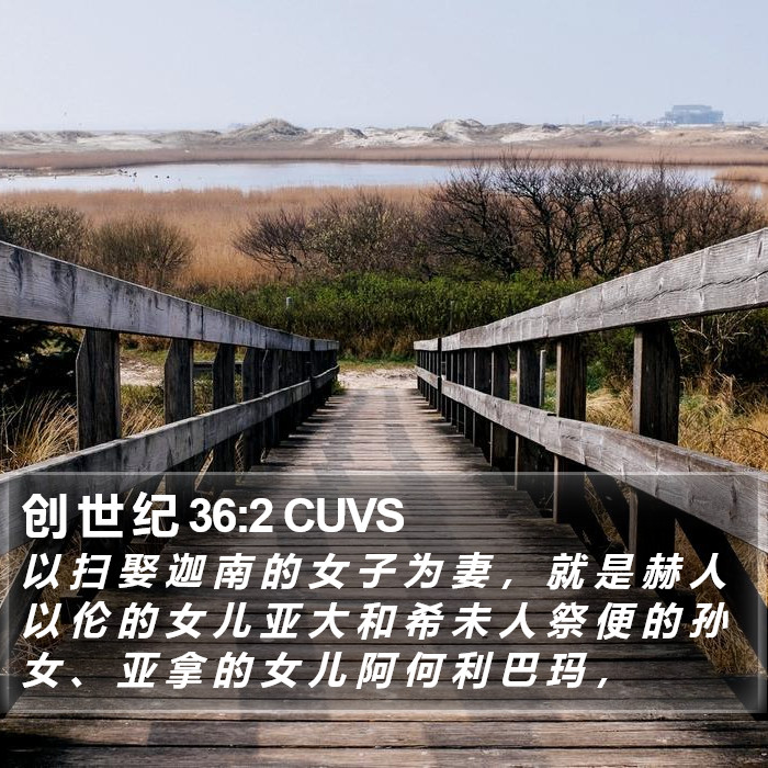 创 世 纪 36:2 CUVS Bible Study