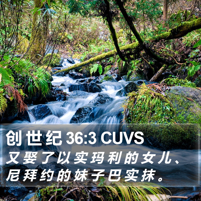 创 世 纪 36:3 CUVS Bible Study