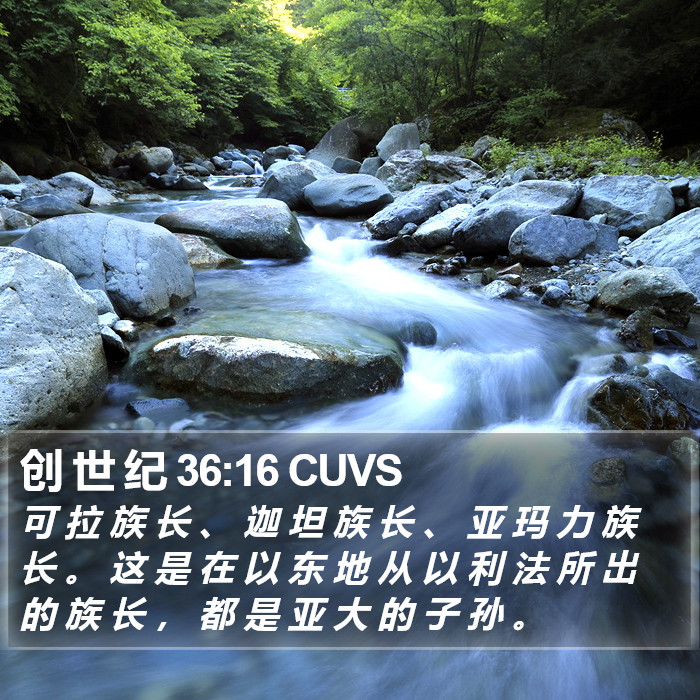 创 世 纪 36:16 CUVS Bible Study