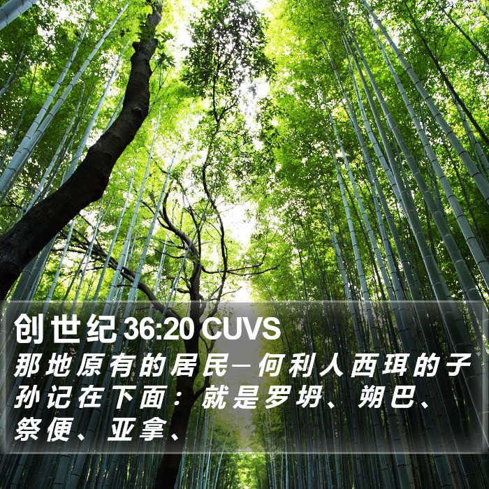 创 世 纪 36:20 CUVS Bible Study