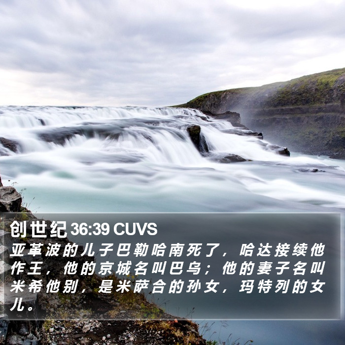 创 世 纪 36:39 CUVS Bible Study