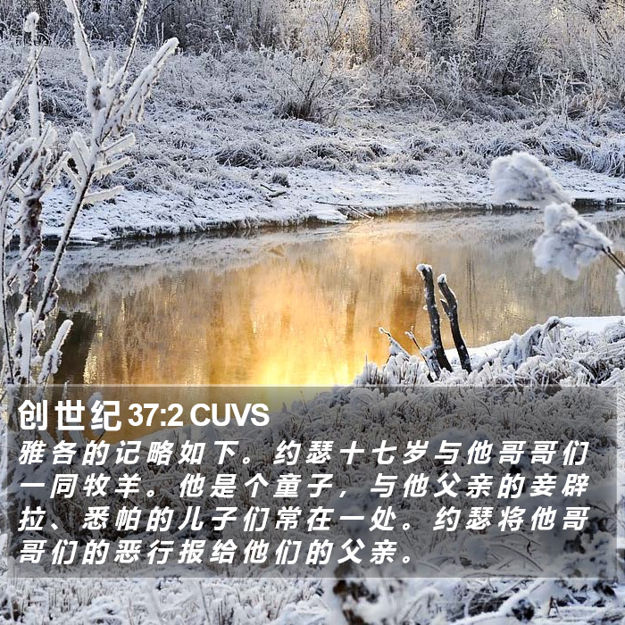 创 世 纪 37:2 CUVS Bible Study