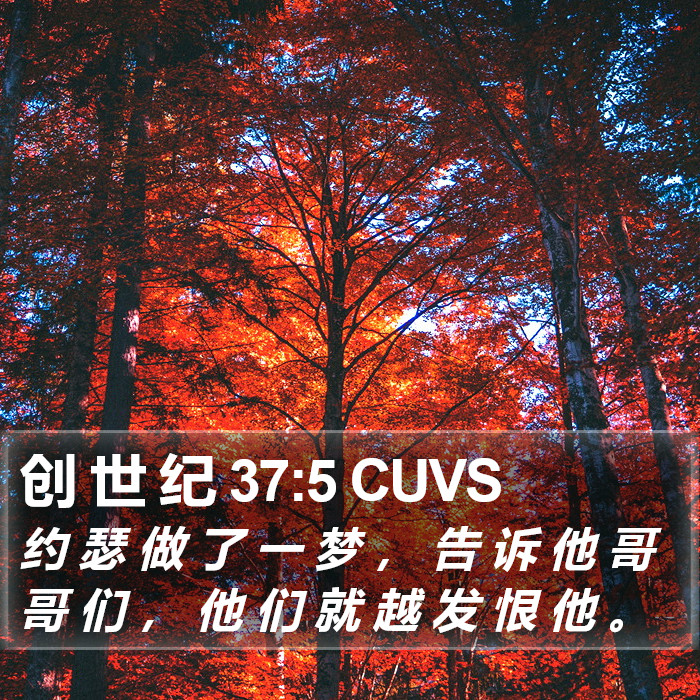 创 世 纪 37:5 CUVS Bible Study