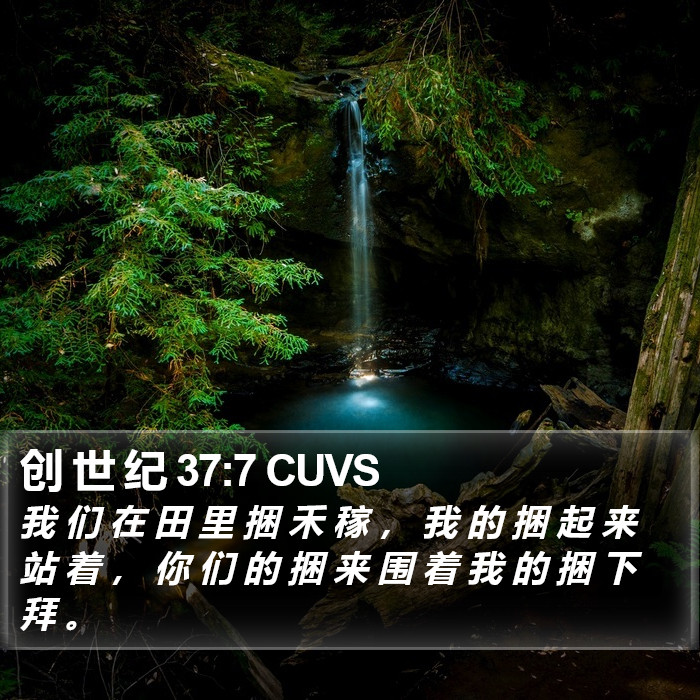 创 世 纪 37:7 CUVS Bible Study