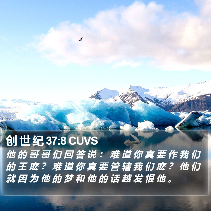 创 世 纪 37:8 CUVS Bible Study