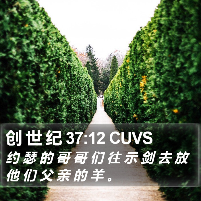 创 世 纪 37:12 CUVS Bible Study