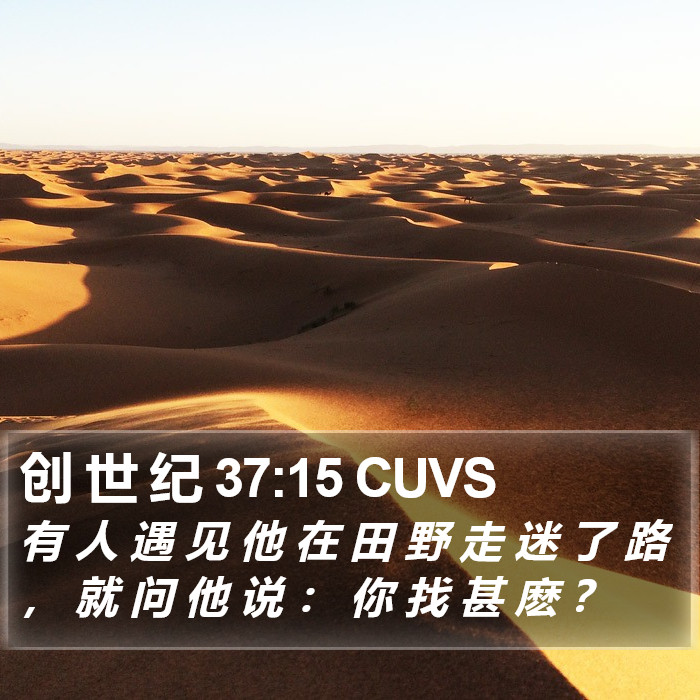创 世 纪 37:15 CUVS Bible Study