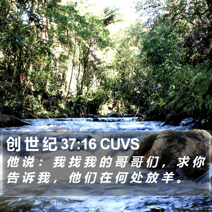 创 世 纪 37:16 CUVS Bible Study