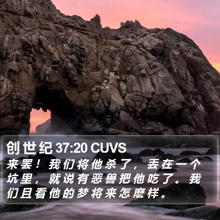 创 世 纪 37:20 CUVS Bible Study