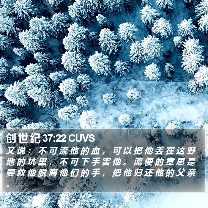 创 世 纪 37:22 CUVS Bible Study