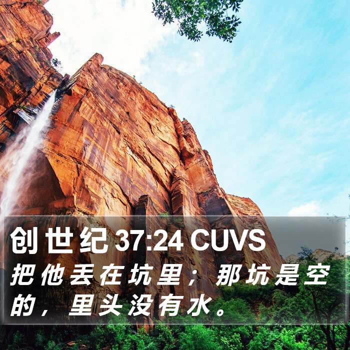 创 世 纪 37:24 CUVS Bible Study