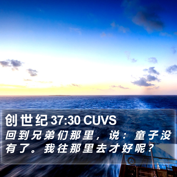 创 世 纪 37:30 CUVS Bible Study