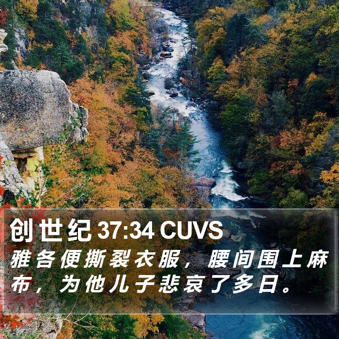 创 世 纪 37:34 CUVS Bible Study