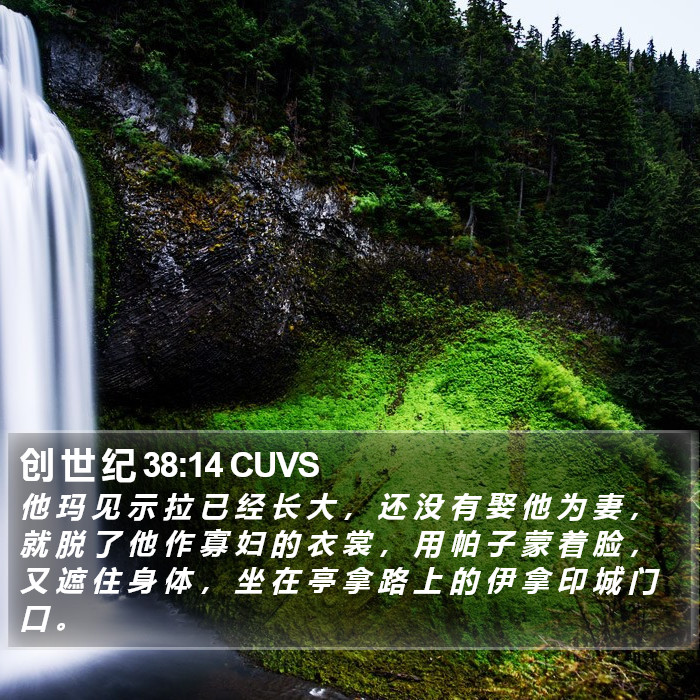 创 世 纪 38:14 CUVS Bible Study