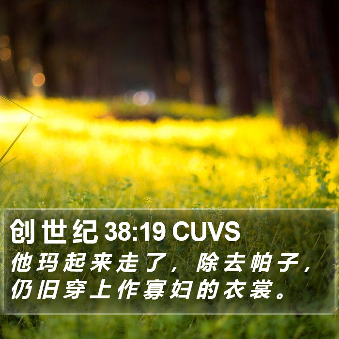 创 世 纪 38:19 CUVS Bible Study