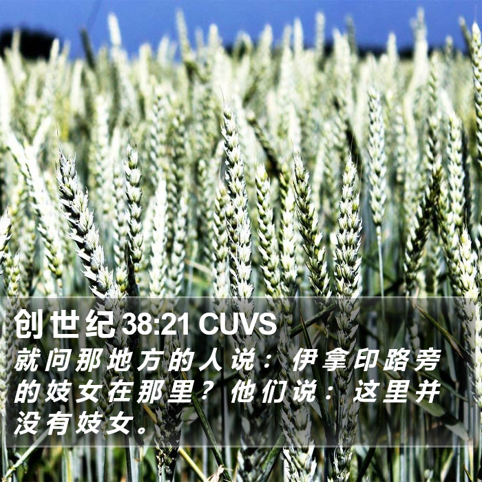 创 世 纪 38:21 CUVS Bible Study