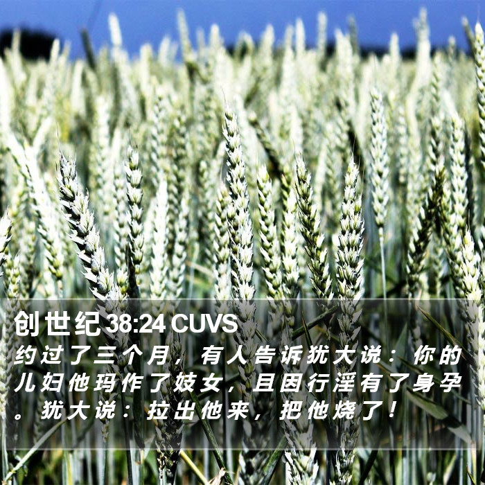创 世 纪 38:24 CUVS Bible Study