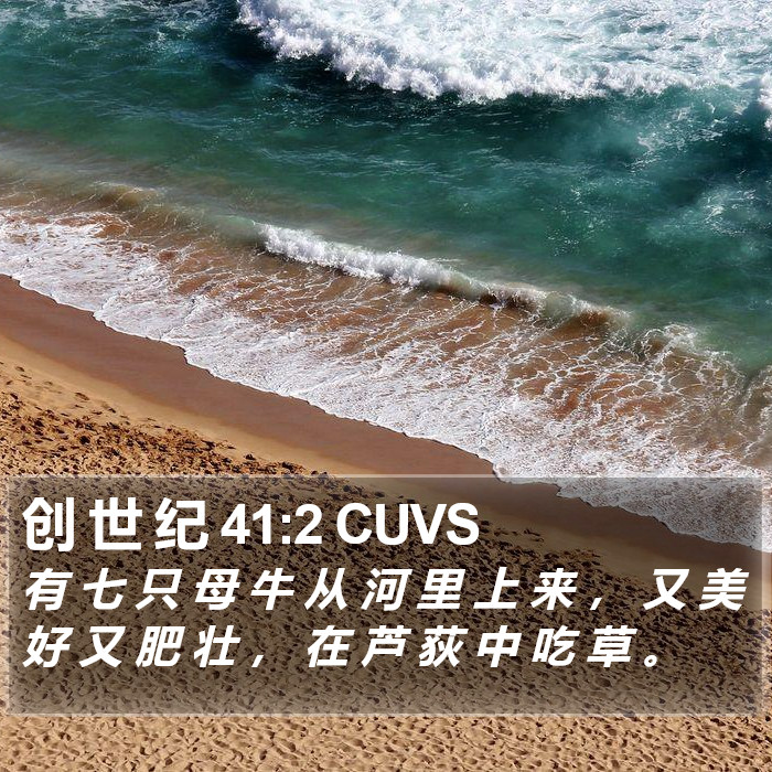 创 世 纪 41:2 CUVS Bible Study