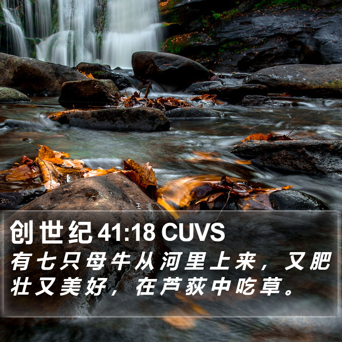 创 世 纪 41:18 CUVS Bible Study