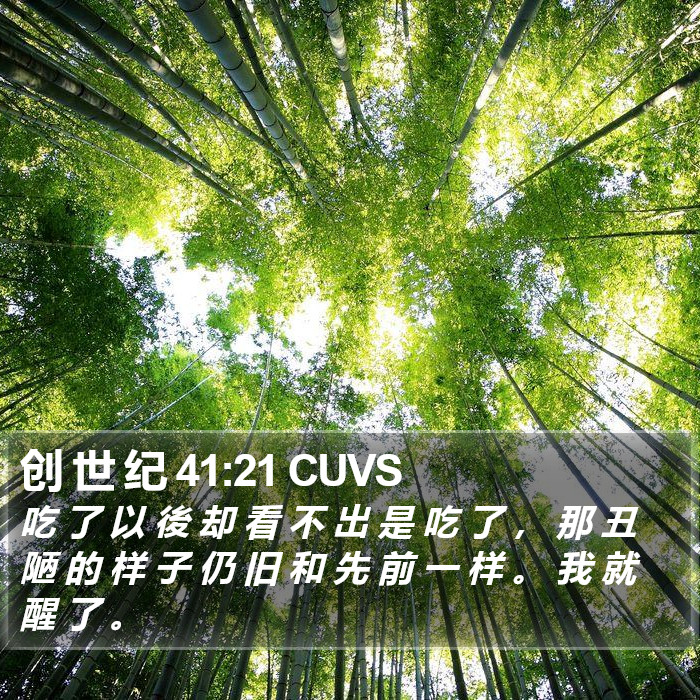 创 世 纪 41:21 CUVS Bible Study
