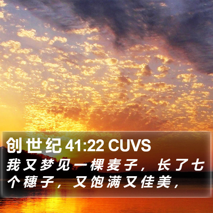 创 世 纪 41:22 CUVS Bible Study