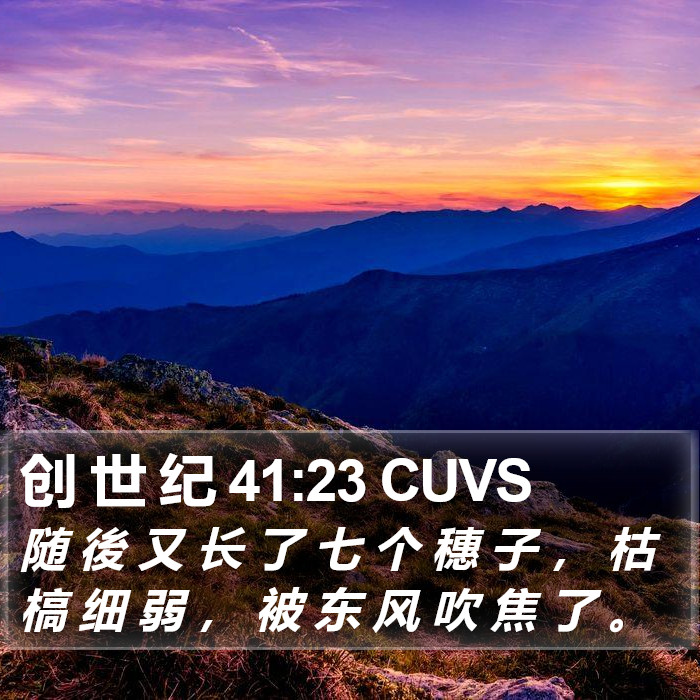 创 世 纪 41:23 CUVS Bible Study