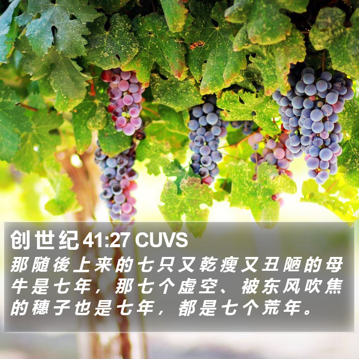 创 世 纪 41:27 CUVS Bible Study