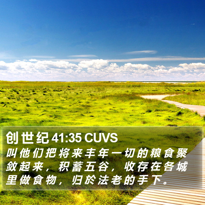 创 世 纪 41:35 CUVS Bible Study