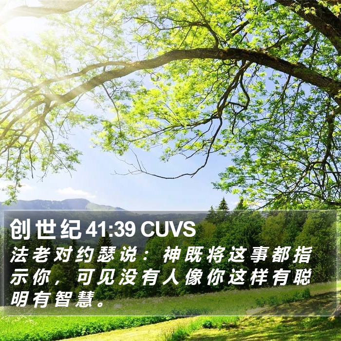 创 世 纪 41:39 CUVS Bible Study