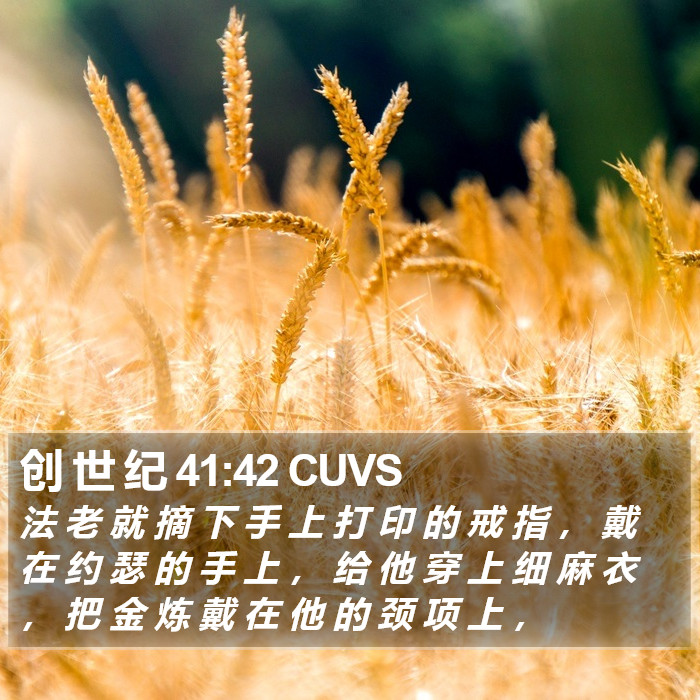 创 世 纪 41:42 CUVS Bible Study