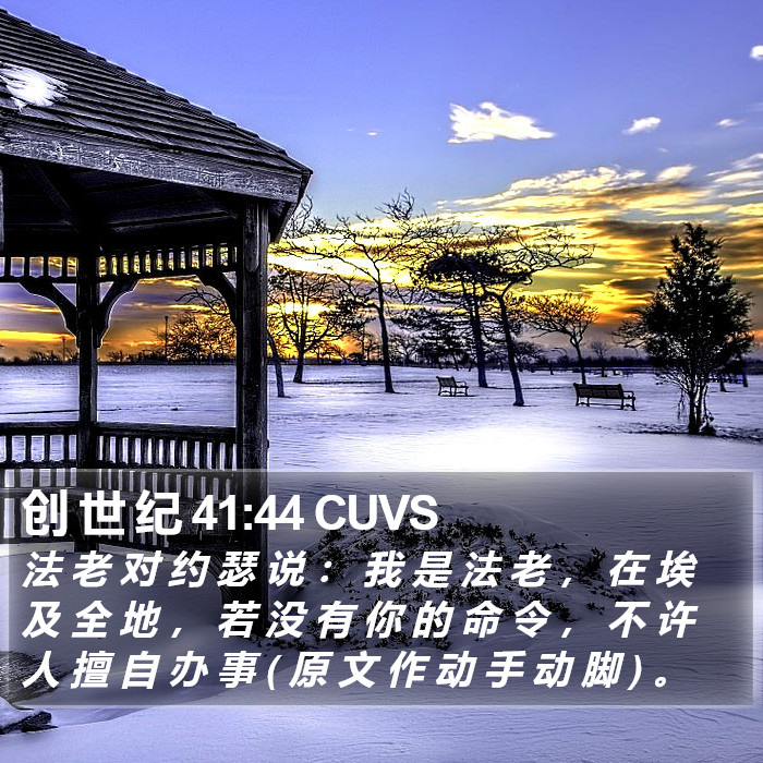 创 世 纪 41:44 CUVS Bible Study