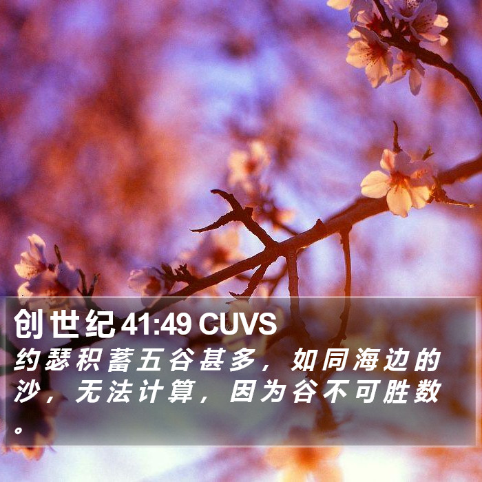 创 世 纪 41:49 CUVS Bible Study