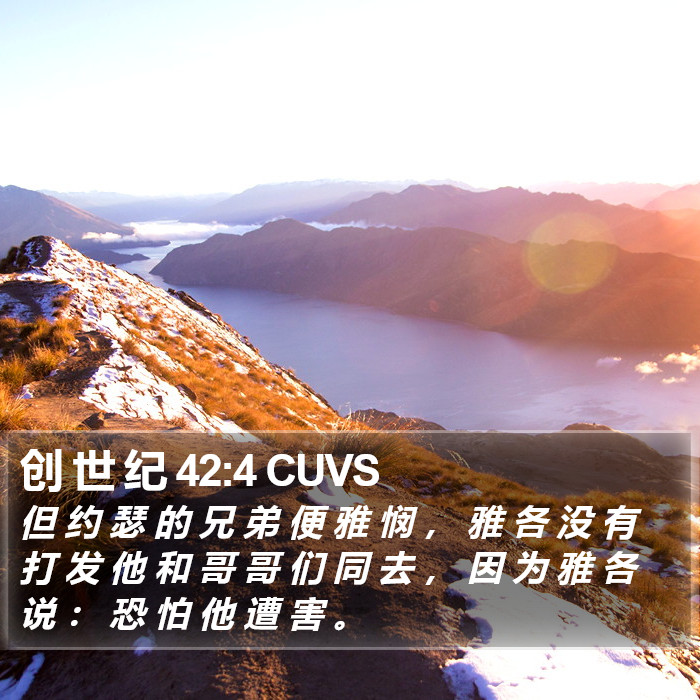 创 世 纪 42:4 CUVS Bible Study