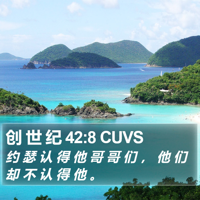 创 世 纪 42:8 CUVS Bible Study