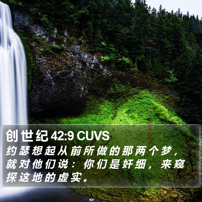 创 世 纪 42:9 CUVS Bible Study