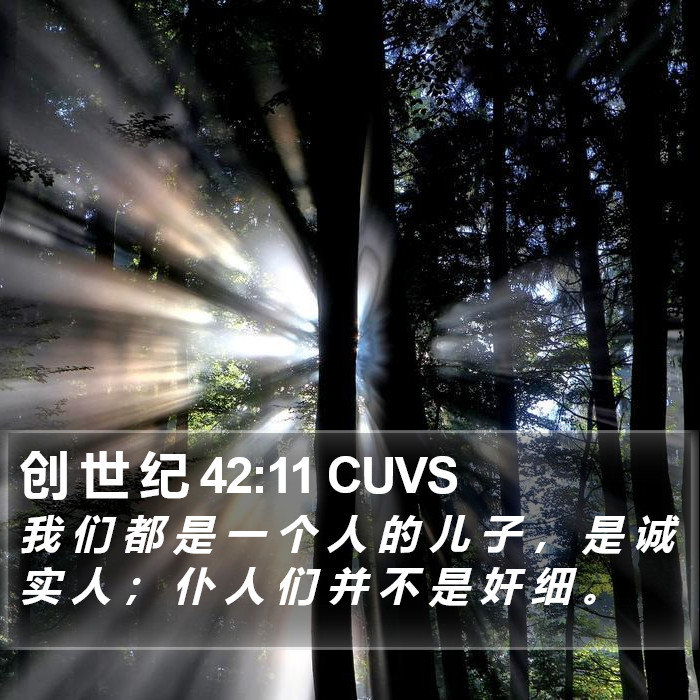 创 世 纪 42:11 CUVS Bible Study