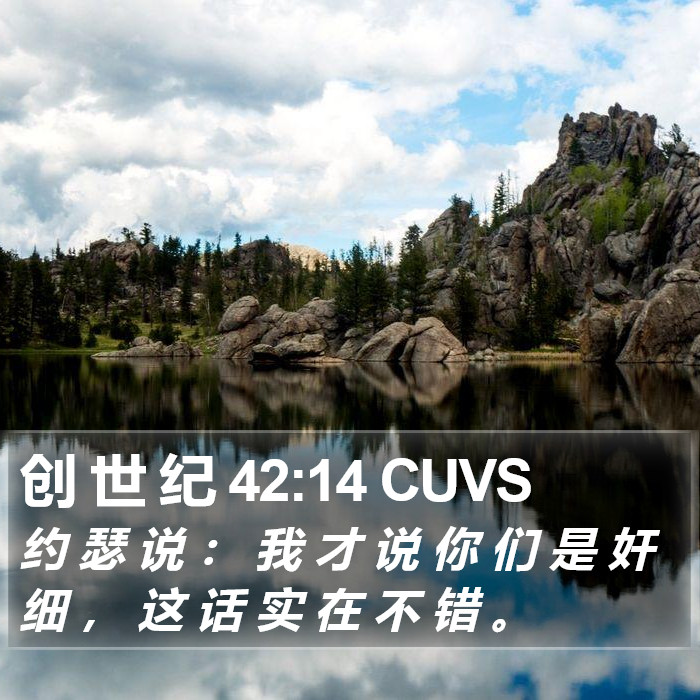 创 世 纪 42:14 CUVS Bible Study